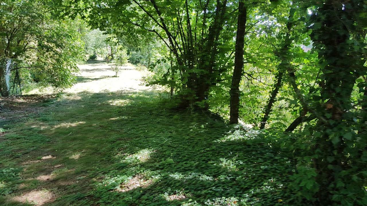 Gite La Providence Saint-Sernin-du-Plain المظهر الخارجي الصورة